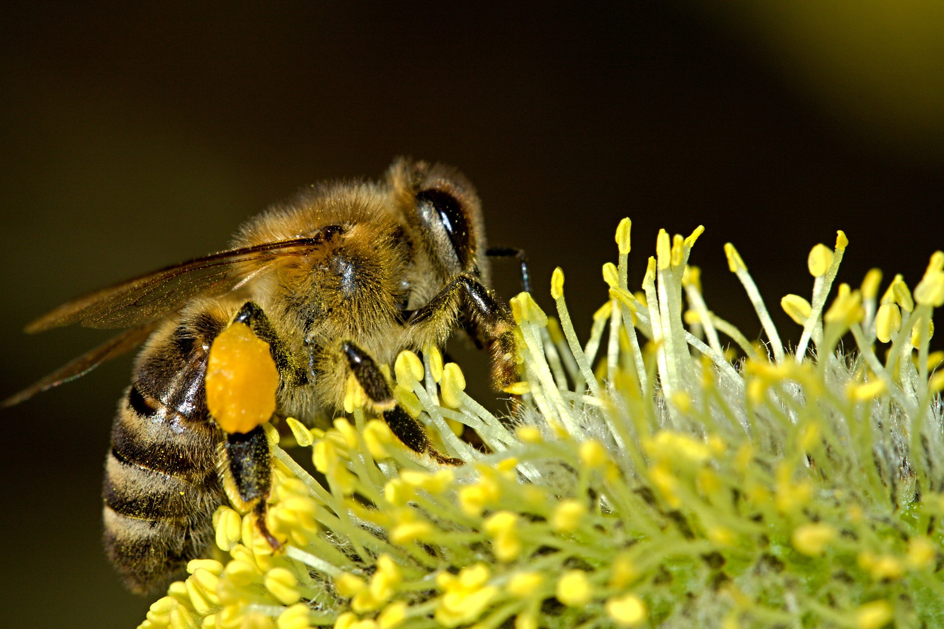Column: Wat is natuur nog in dit land?