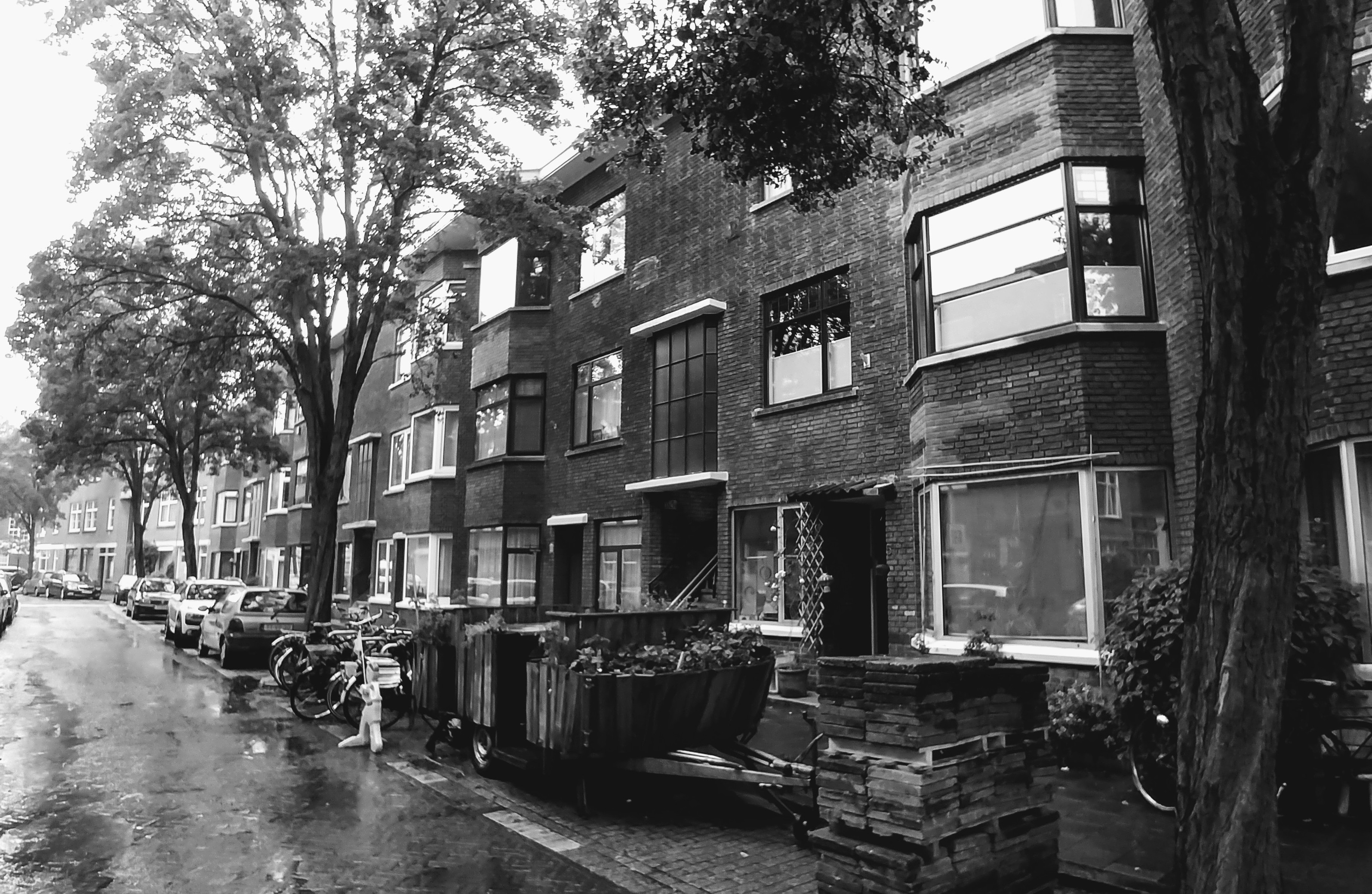 Cold case Peternella Hanegraaff: ‘Motief na 23 jaar nog steeds groot raadsel’