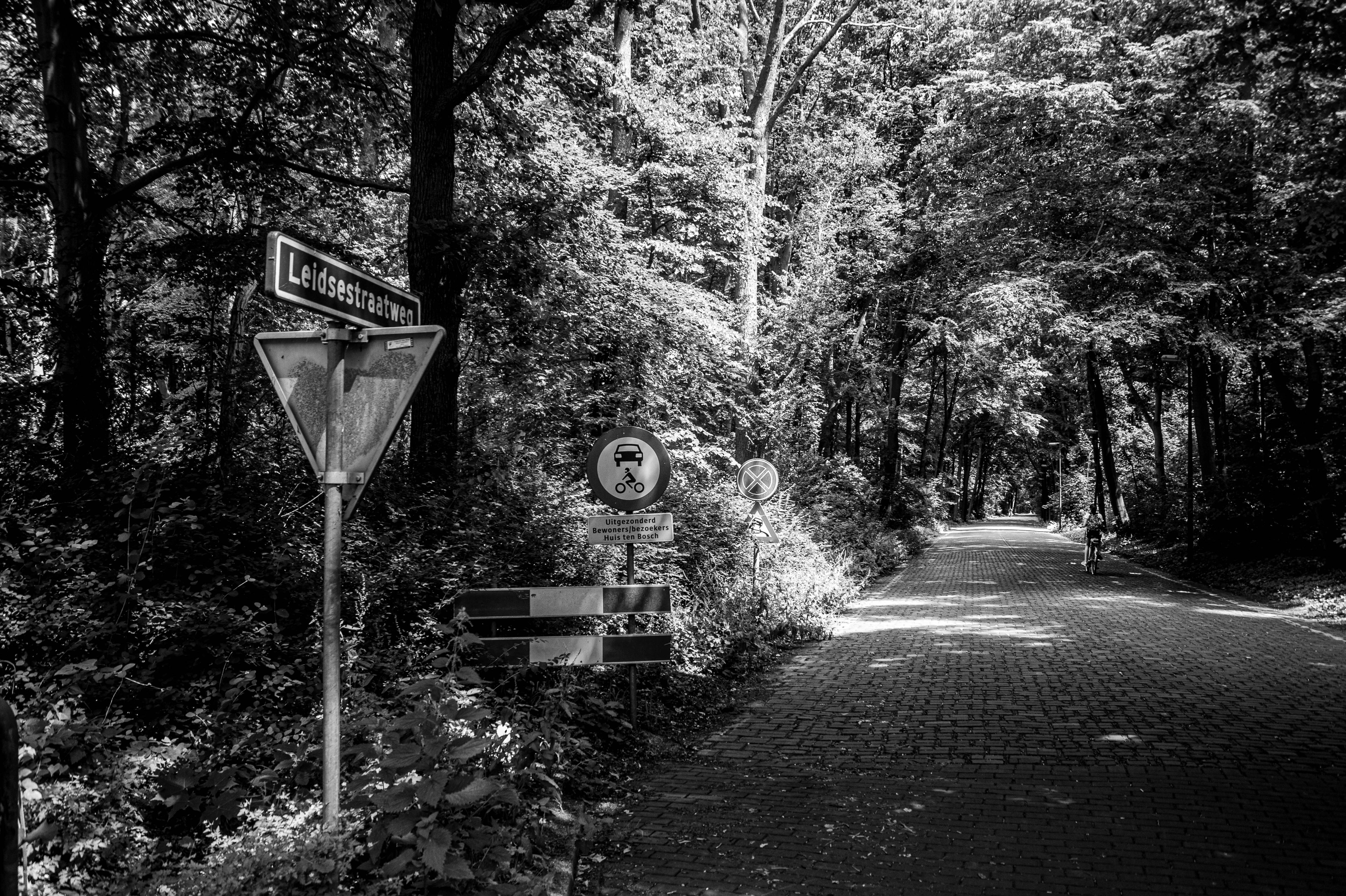Cold Case: Automonteur Jan de Niet (30), doodgestoken op de Leidsestraatweg