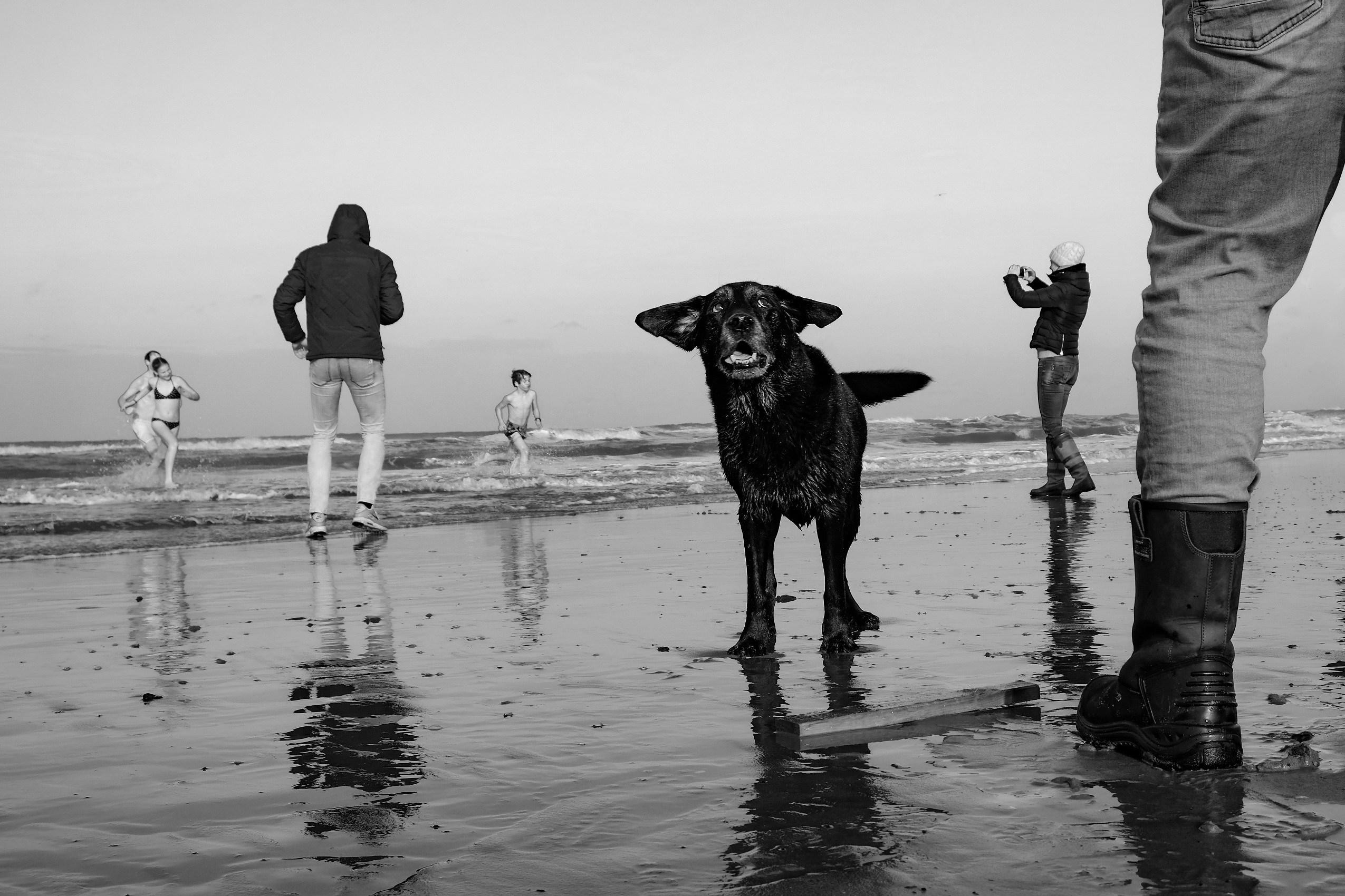 Zomerexpositie in Atrium: Veelzijdigheid van het strand in beeld