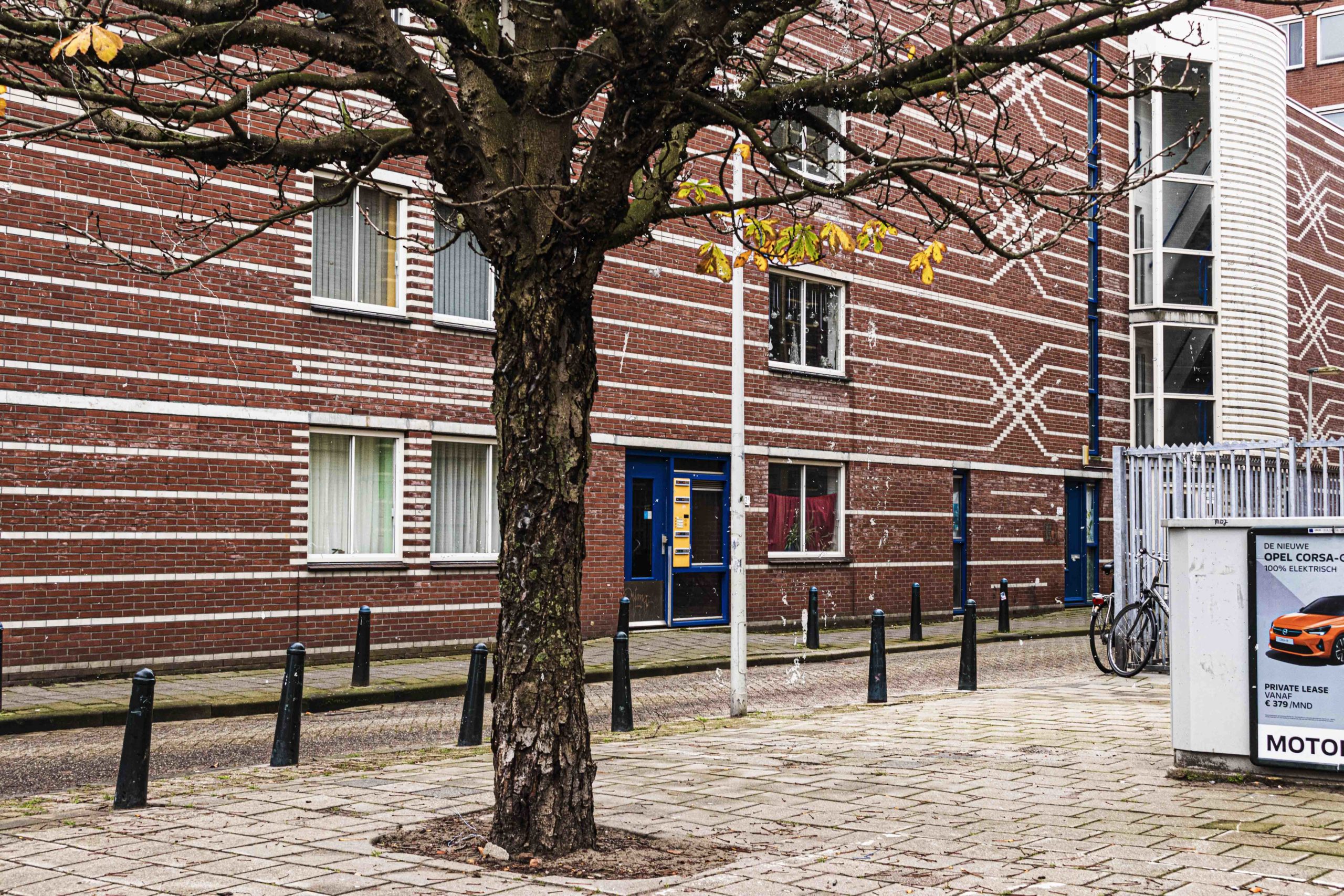 Cold Case Petronella Huijbens: Geen foto van slachtoffer, wel DNA van verdachte