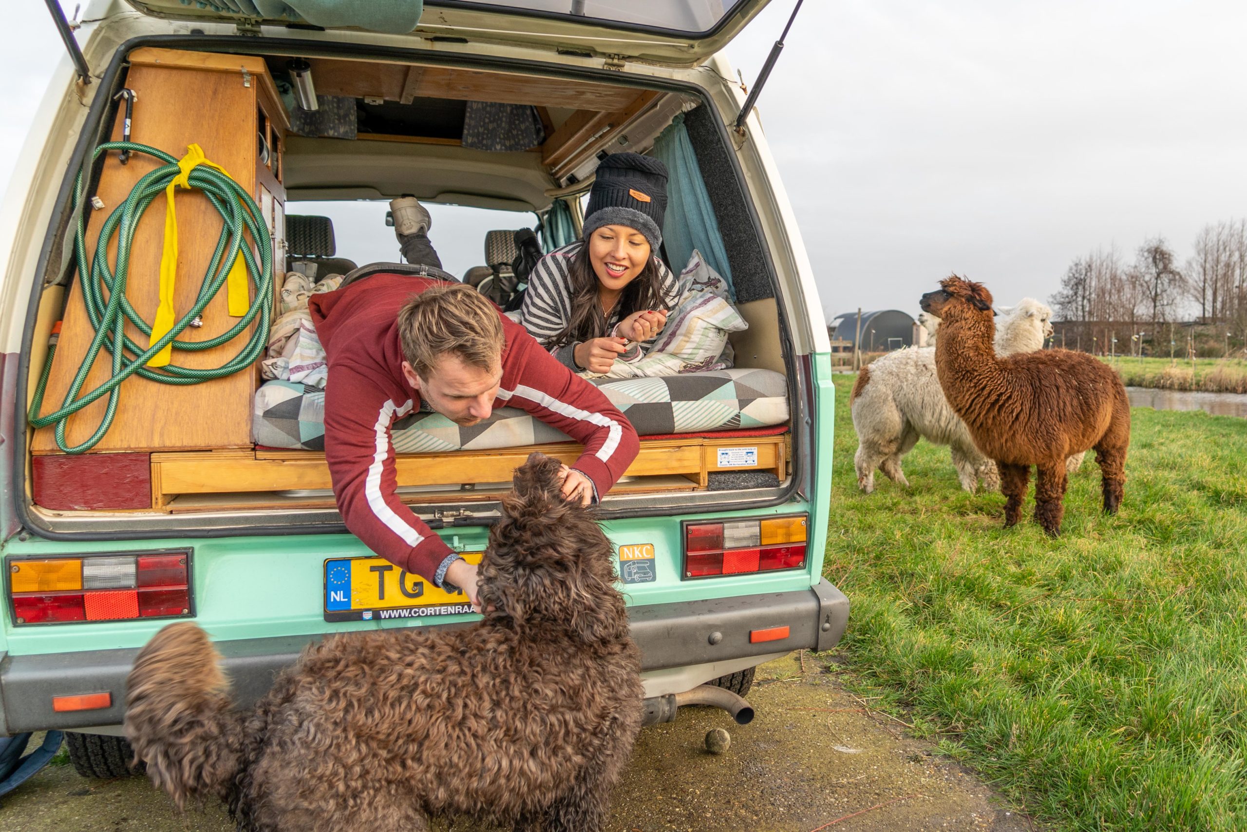 Haags bedrijf Camptoo heeft profijt van populariteit campers   