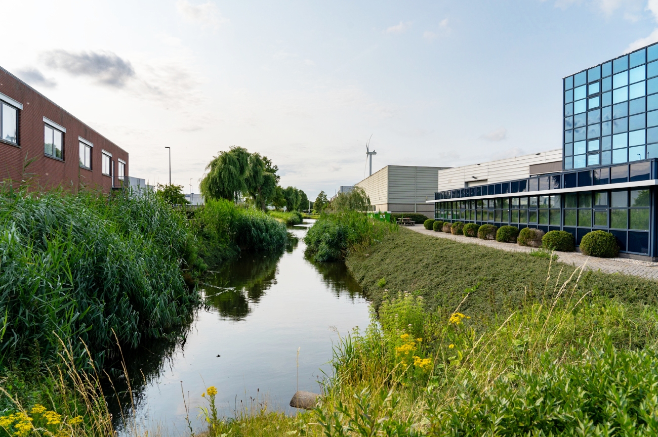 Brandblusbedrijf is bron van ernstige PFOS-vervuiling in sloot Forepark