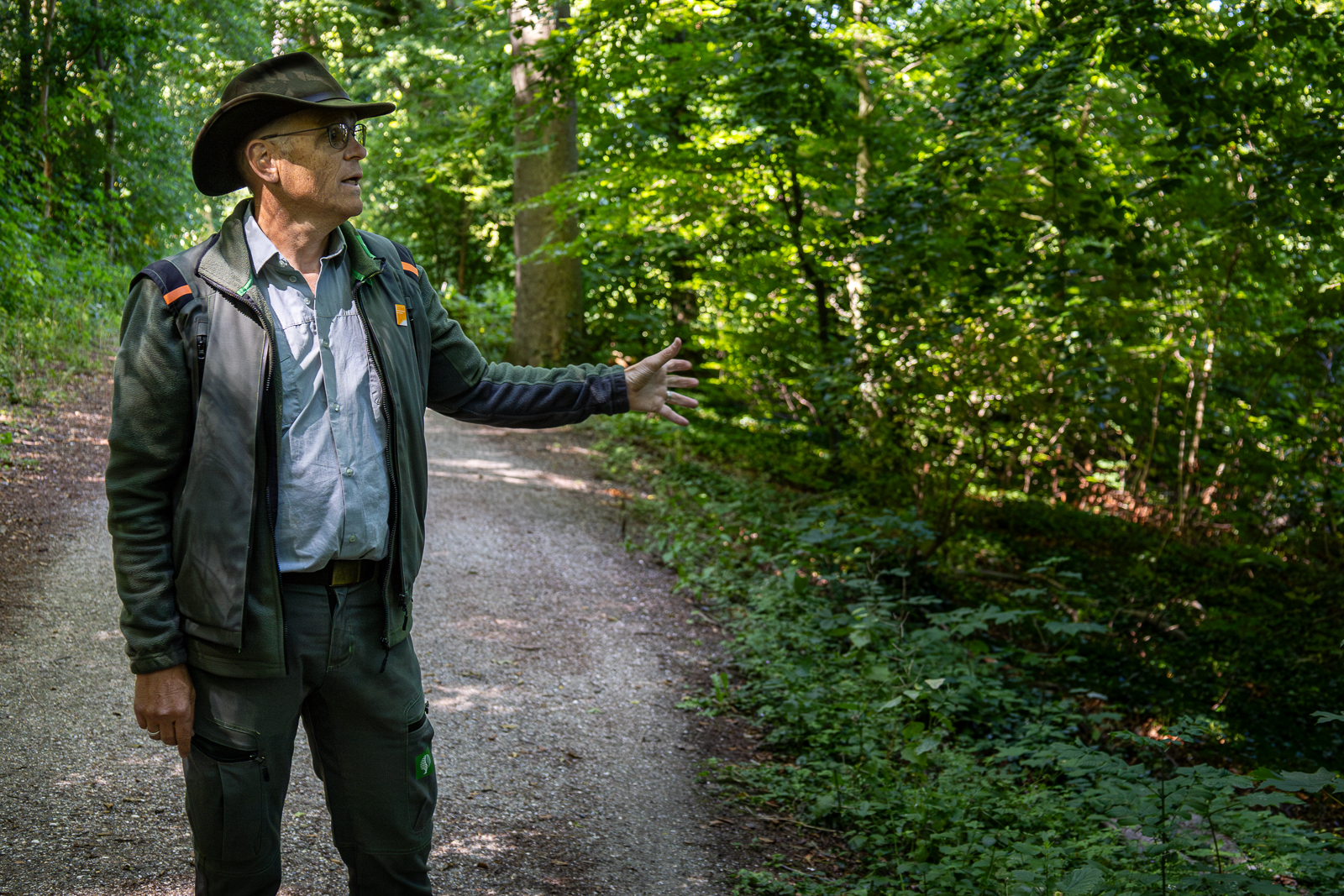 Haagse Bos gaat gebukt onder langdurige droogte
