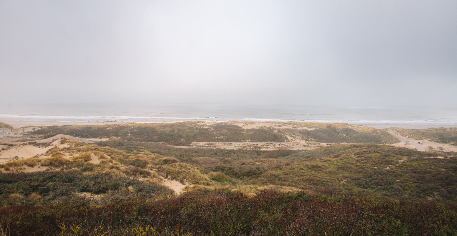 Zorgelijke hoeveelheid PFAS gevonden aan de Haagse kust, Zuid-Holland meest vervuilde provincie