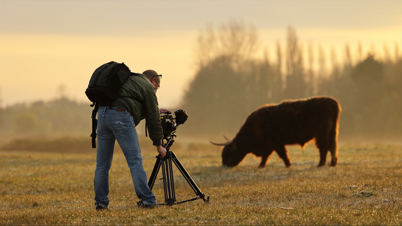 Haagse documentaire in de maak: stadsnatuur op het witte doek