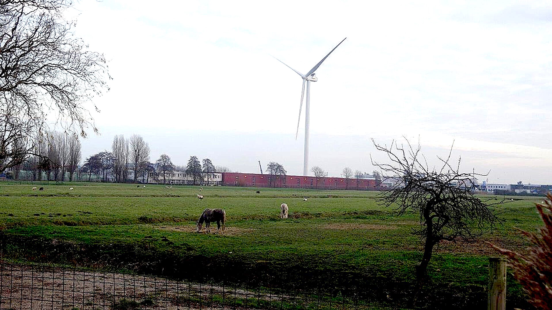 Felle kritiek op handelwijze B en W in dossier Vlietzone