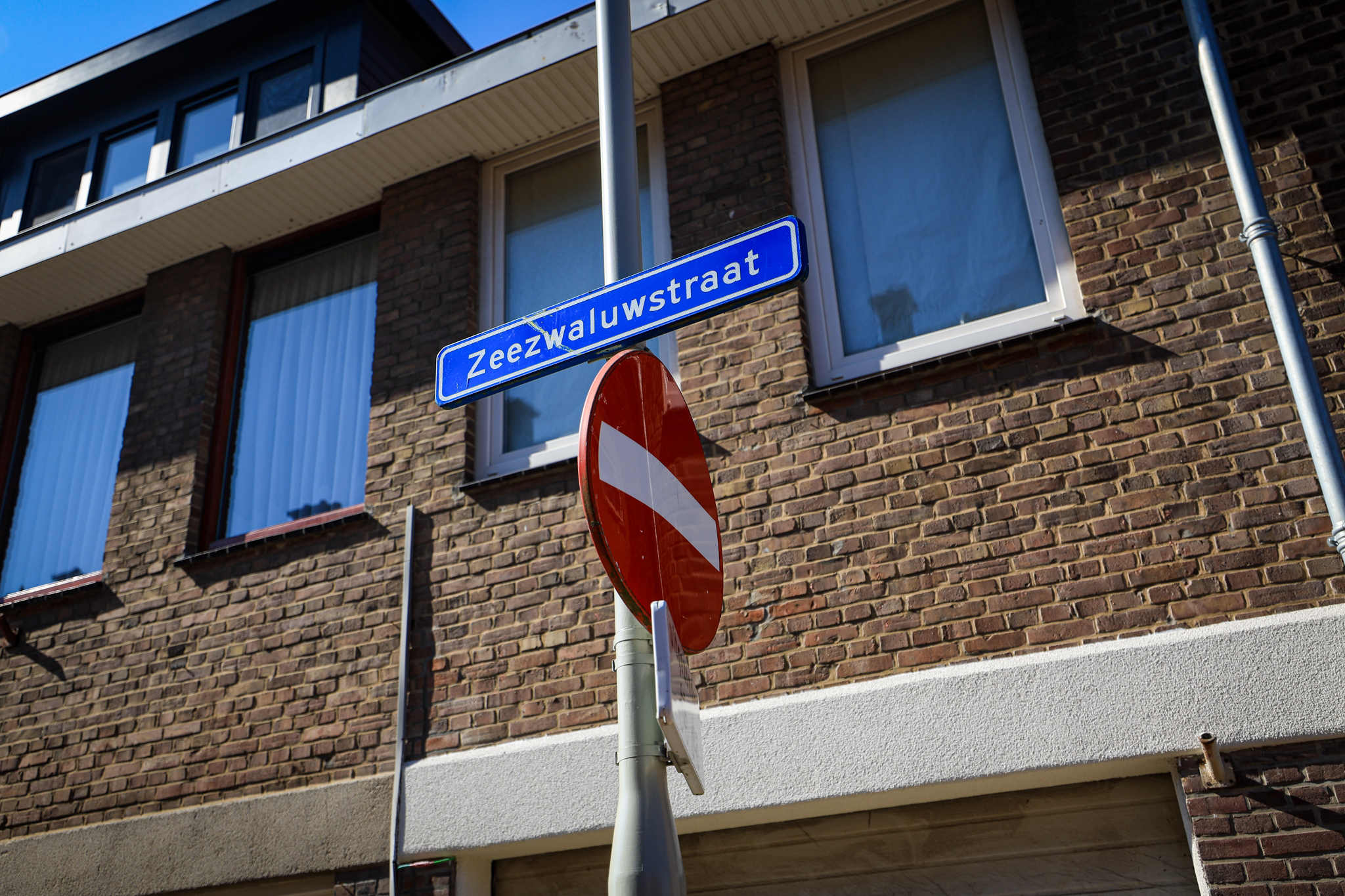 Stikstofregels zorgen voor twijfel over nieuwbouw in Duindorp