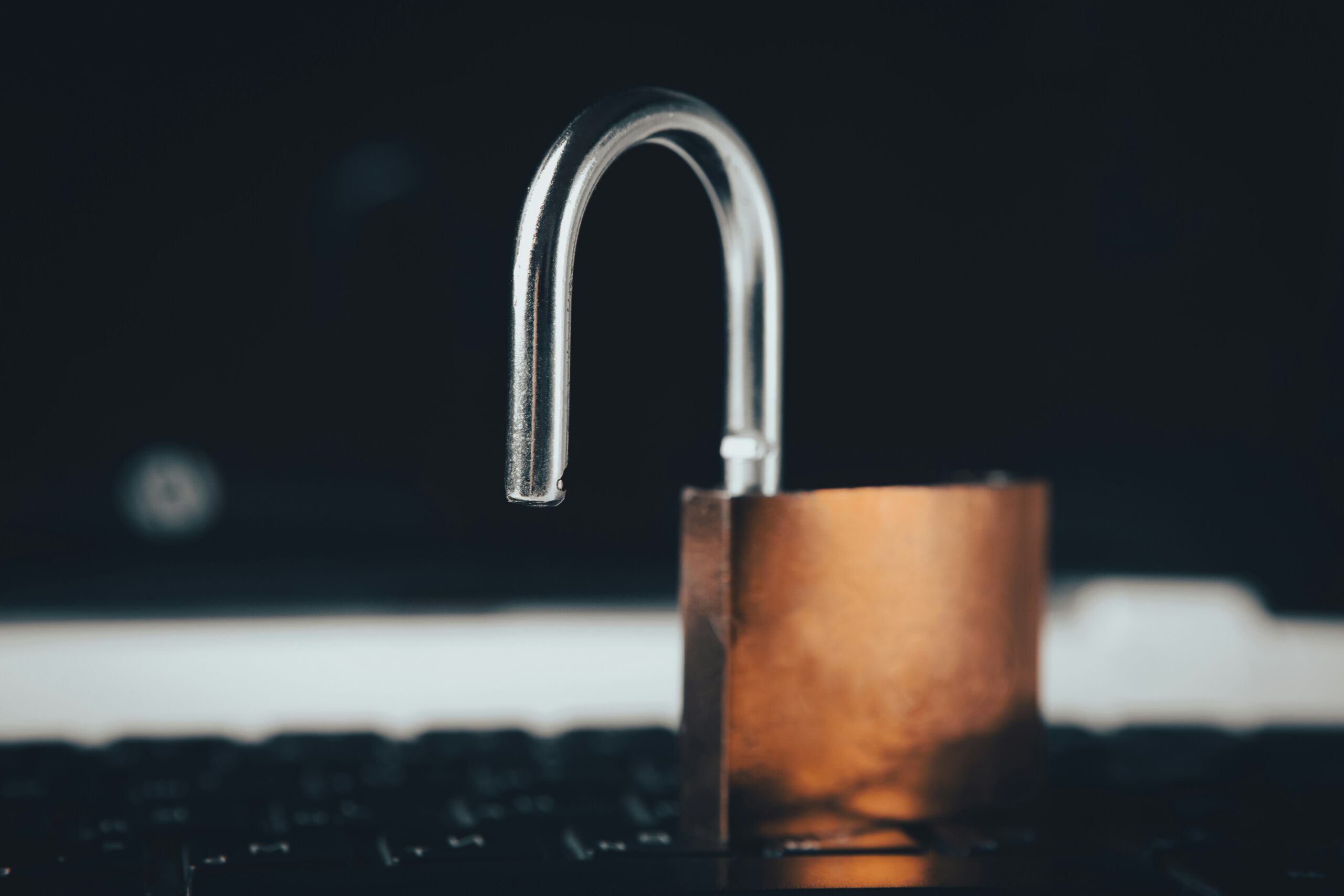Waarom juist Haagse bedrijven baat hebben bij security awareness